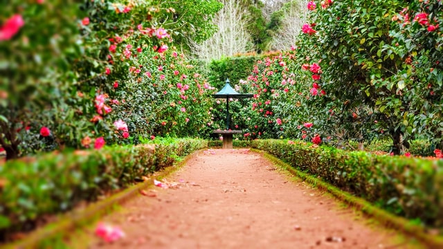 Hoe zorg je voor een mooie tuin die ook onderhoudsvriendelijk is?