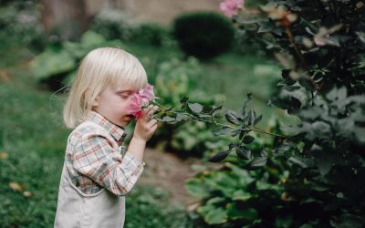 Wat is het voordeel van je tuin door professionals te laten doen?