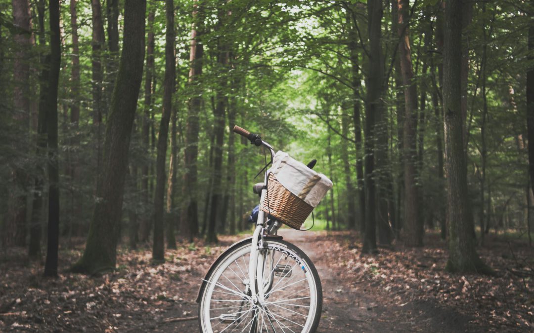 De voordelen van een mobiele fietsenmaker voor het laten maken van je fiets