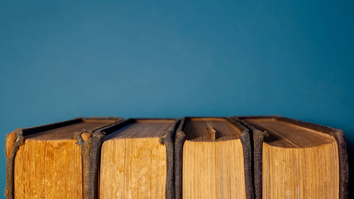 Hoe werkt linkbuilding? Dat lees je op deze pagina!