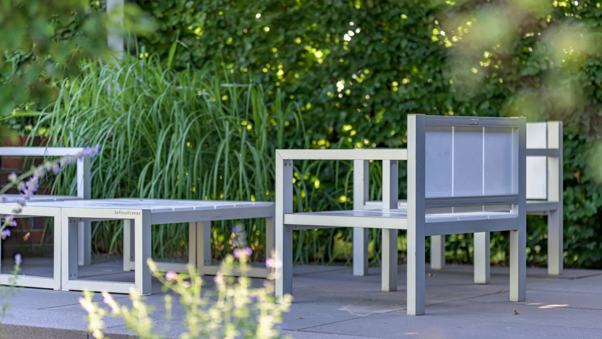 Hoe zorg je voor een mooie tuin die ook onderhoudsvriendelijk is?