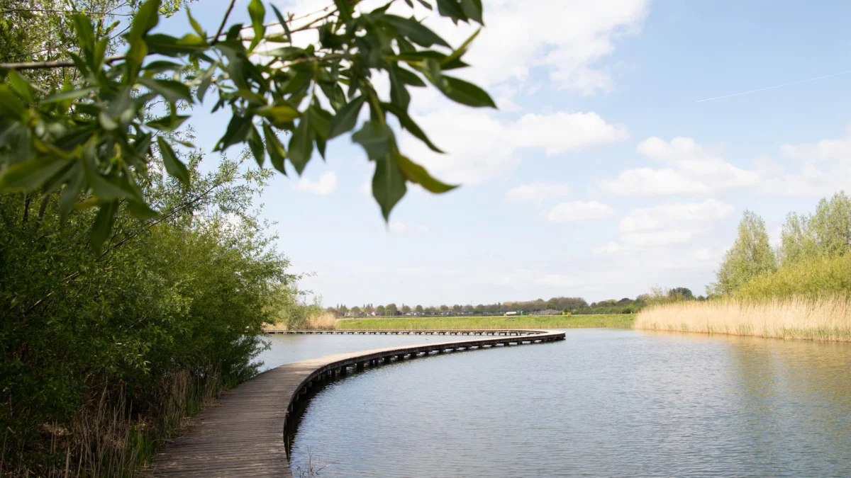 Een schilderachtig uitzicht op een houten wandelpad dat langs een vredig meer kronkelt, omringd door weelderig groen en een heldere lucht.