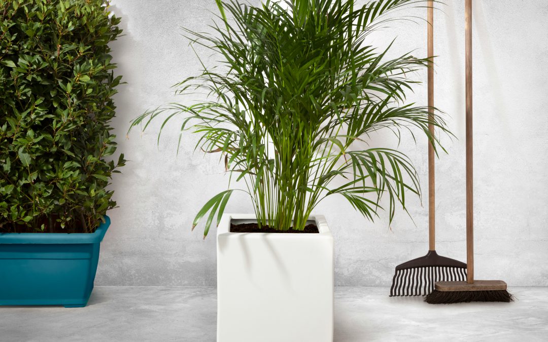 Duurzame en stijlvolle overkappingen voor een mooie tuin