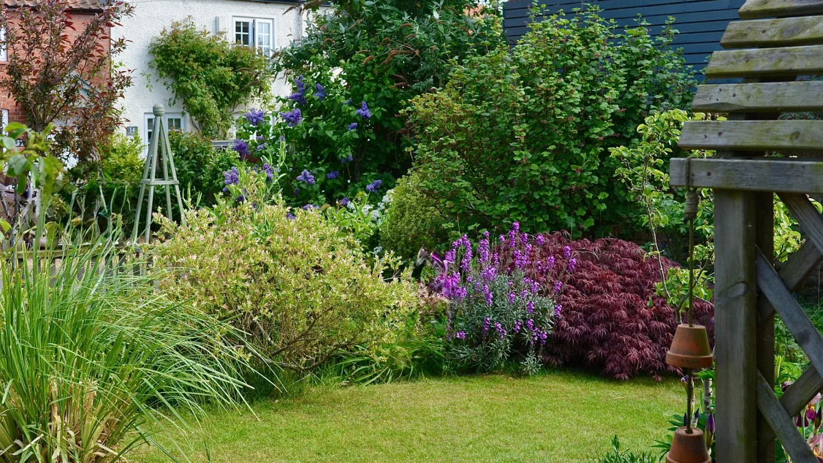 Vergeet dit niet bij het onderhouden van de tuin