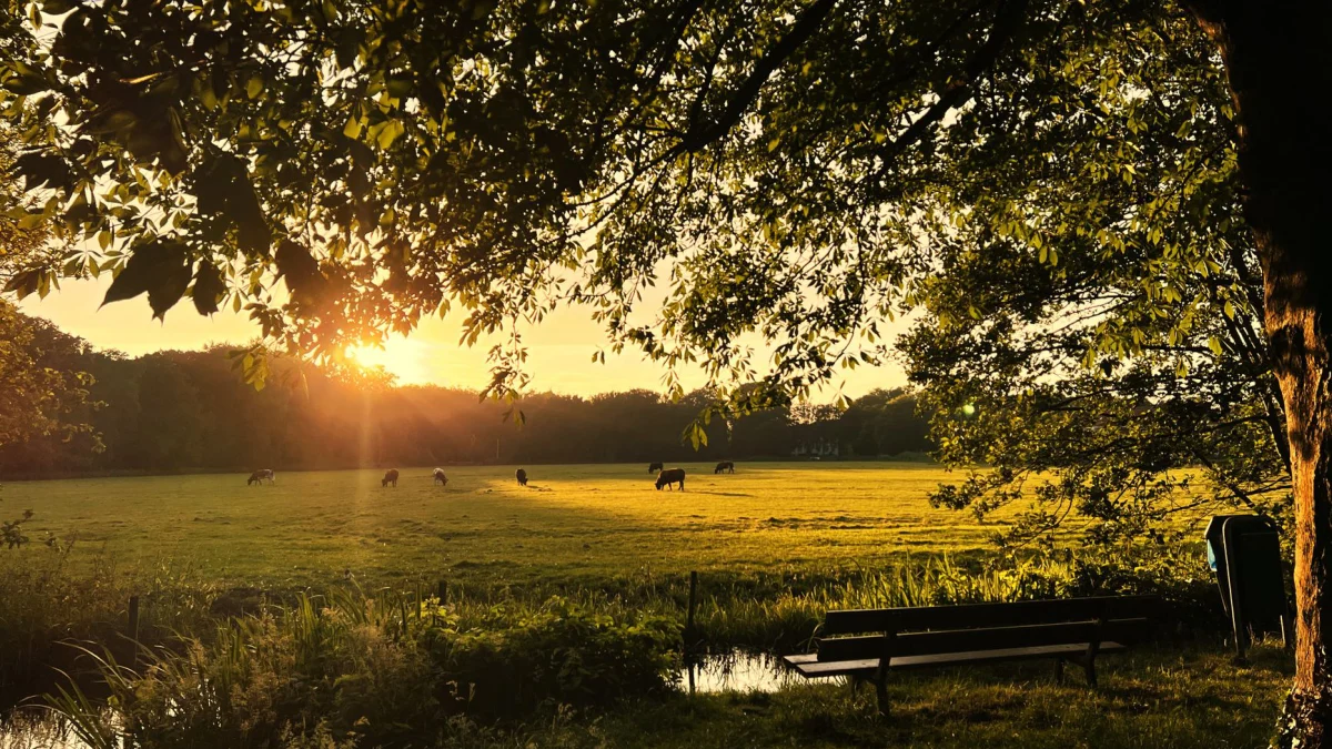 Zo ontwikkel je jezelf in het werkveld